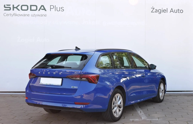 Skoda Octavia cena 79900 przebieg: 59137, rok produkcji 2022 z Biłgoraj małe 172